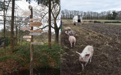 Impressie rondwandeling Wilhelminapark 21 december