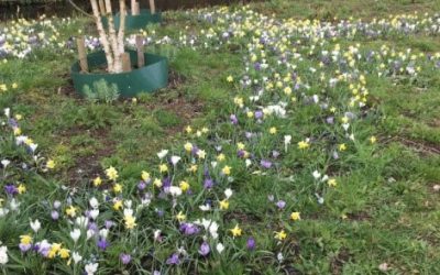 Natuurwandeling door Boskoop