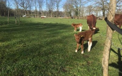 Nieuws van andere Herenboerderijen