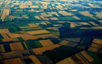 Een stapje dichterbij een Herenboerderij in het Groene Hart