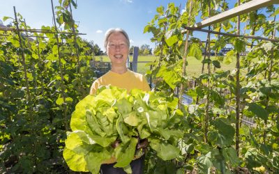 Hier ligt goede grond