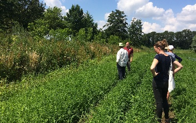 Voedsel produceren in samenwerking met de natuur