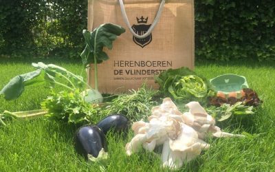 Eerste oogst HB Vlinderstrik