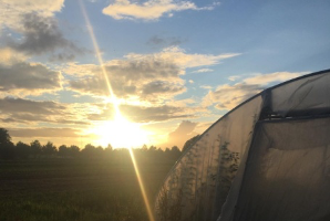 Impressie avondrondwandeling Boxtel