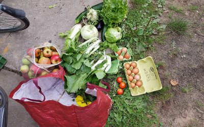 Walking on sunshine in Boxtel