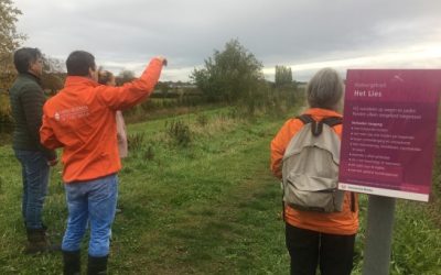 Rondwandelingen in Noord-Brabant