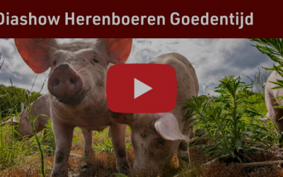 Impressie eerste jaar Herenboeren Goedentijd